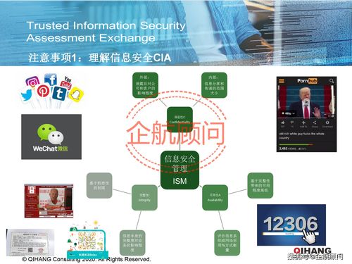 企航顧問 TISAX 可信信息安全評估與交換標(biāo)準(zhǔn)咨詢服務(wù) 物流信息安全的堅實(shí)保障