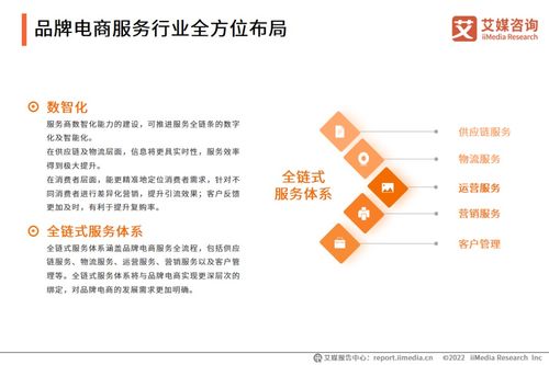 2022年中國品牌電商服務(wù)行業(yè)研究報告 物流信息咨詢服務(wù)的崛起與趨勢